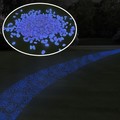 Nature Spring Garden Stones-500 Count Glow in the Dark Solar Pathway Pebble Lights by Nature Spring (Blue) 137515UXS